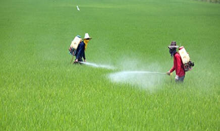 Insecticides-and-pesticides