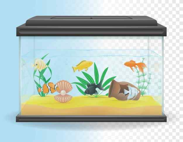 Aquarium