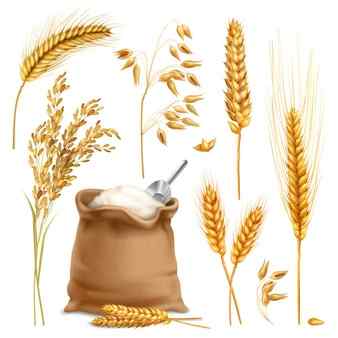 Agrobased