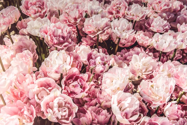 Artificial flowers