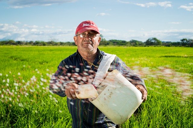 Agriculture product stocks