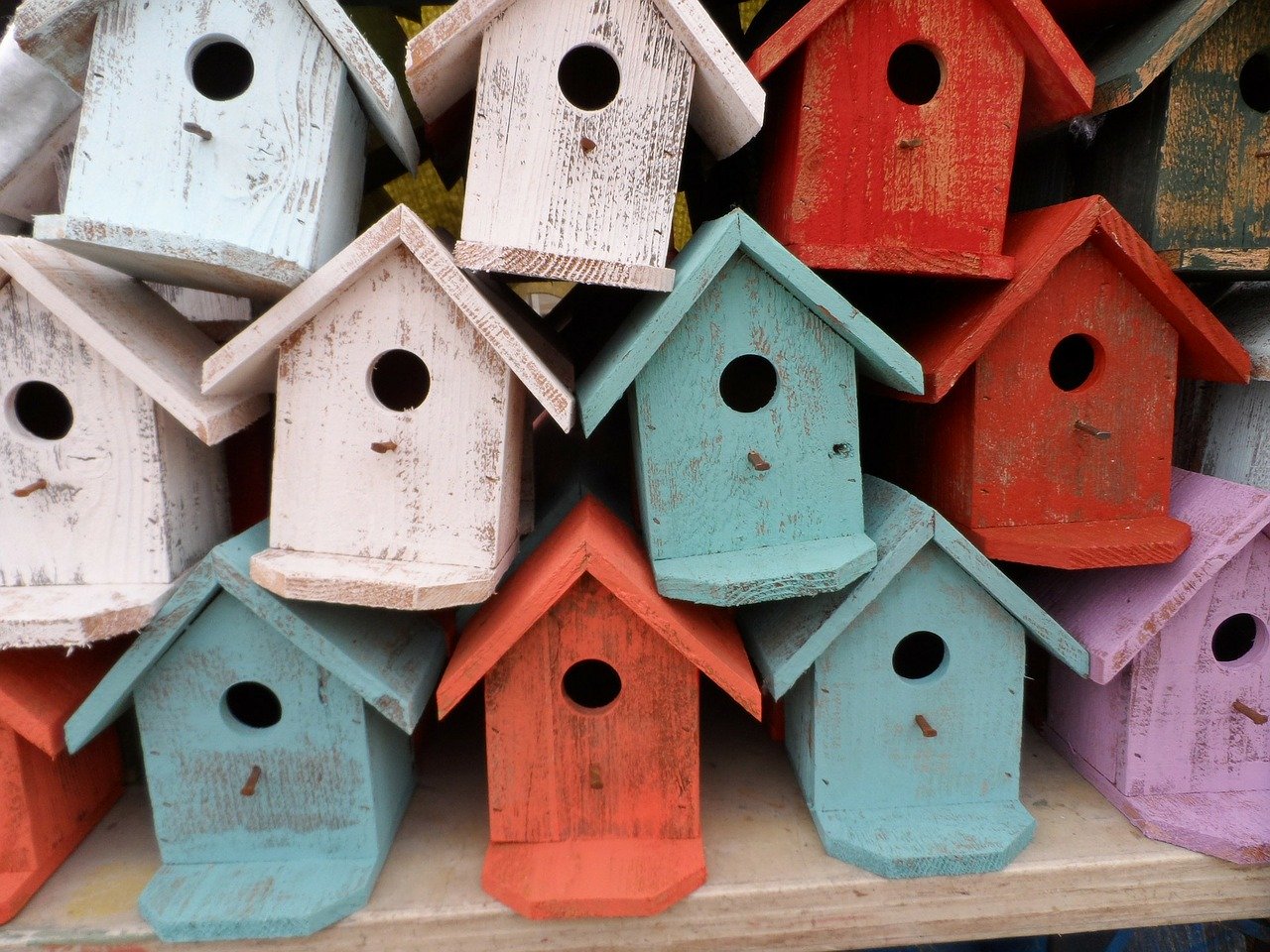 Wooden craft