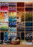 Jwellary and garments