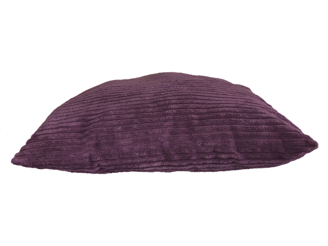 Cushion