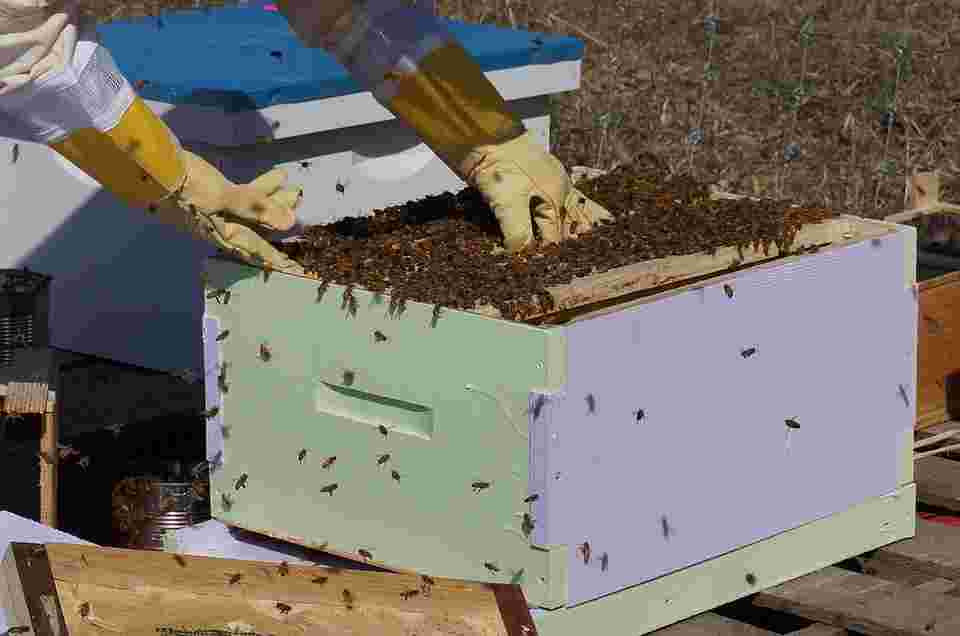Wooden bee hive