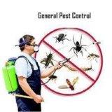Pest control services- indl