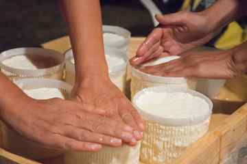 Dairy 