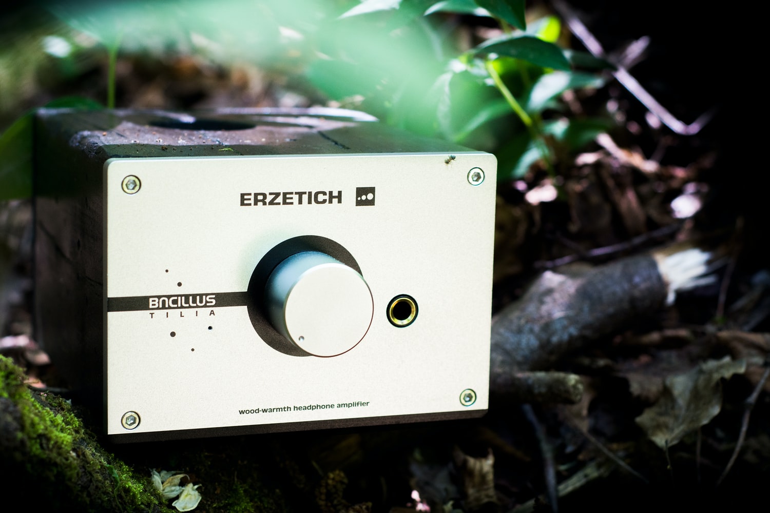Switches