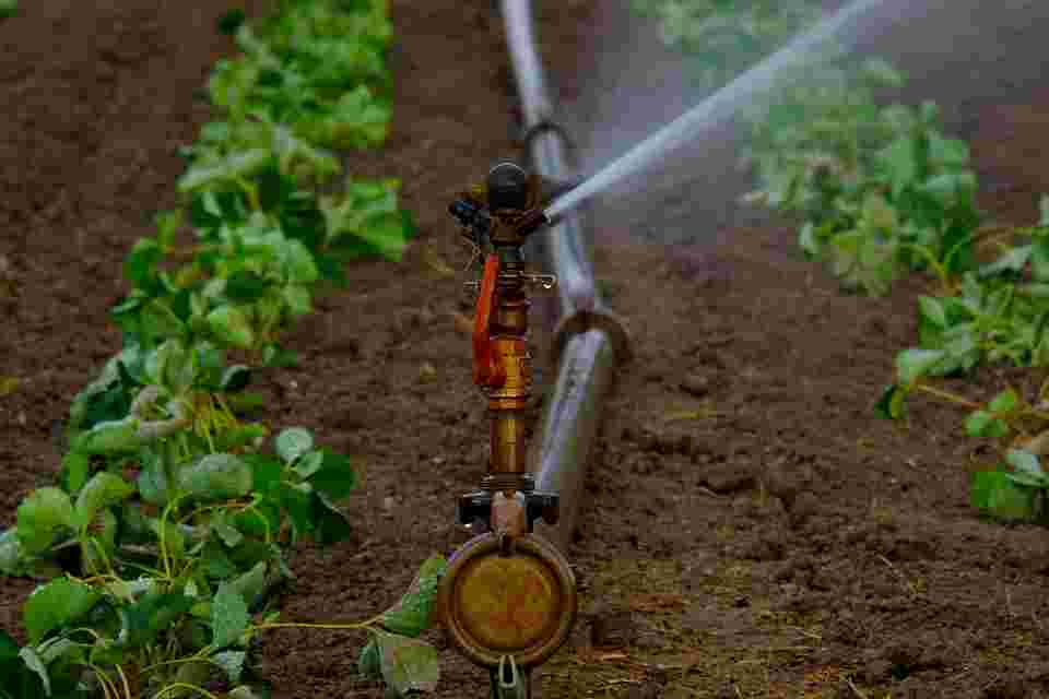  sprinkler pipes.