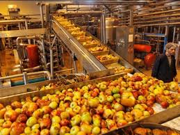 Agro based products