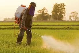 Fertilizers