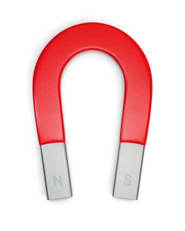 Magnet