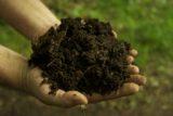 Fertilizers