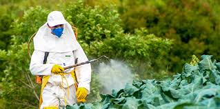 Bio pesticides