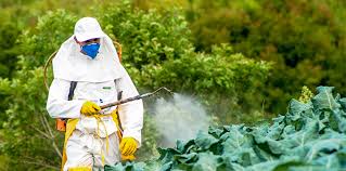 Bio fertilizers