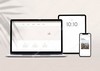 Computer and laptops