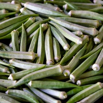 Okra (lady finger)