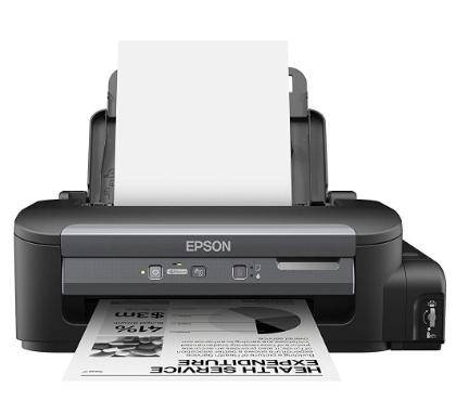 Monochrome inkjet printer
