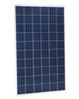 Eagle 60