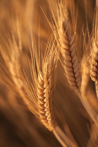 Commodities
