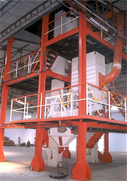 Vertical feed plant