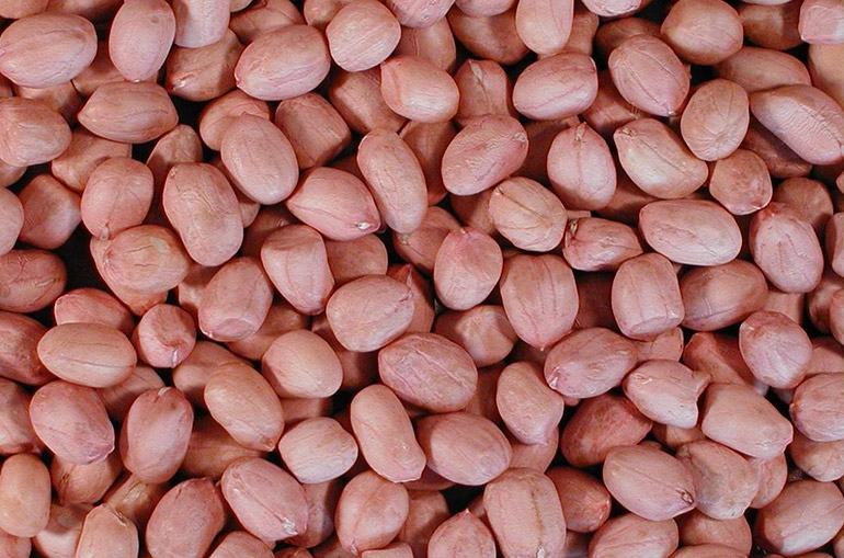 Peanut