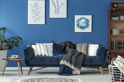 Interior designers