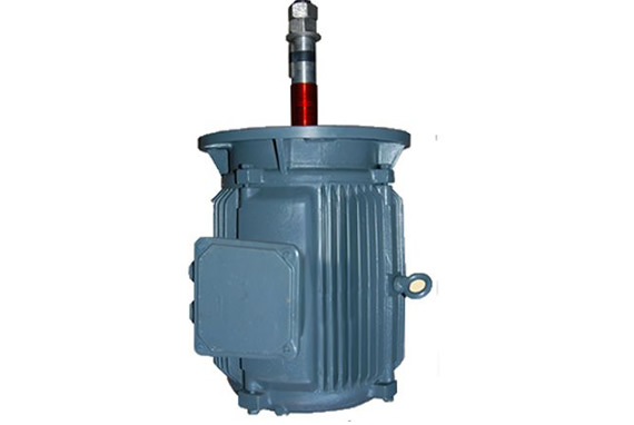 Flange Motor