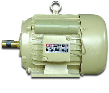 Electric Motor