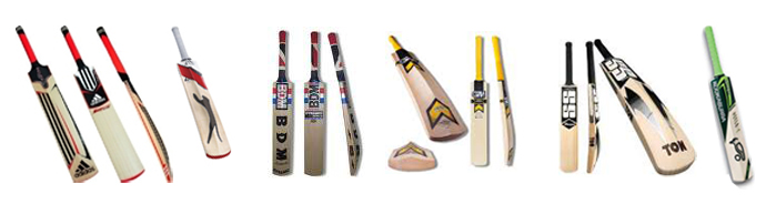 Bat