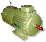 Brake Motors