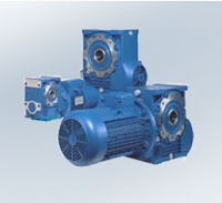 Worm gearmotors Cat.A