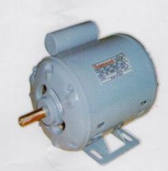 Electrical pump motor 