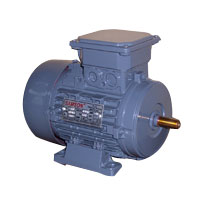 Three Phase Motors	   