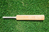 Willow cricket bat