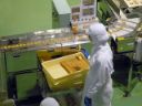 Pharmaceutical manufacturing equipment