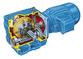 Heli-worm geared motor