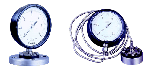 Diaphragm sealed gauges - type 6
