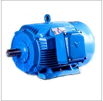 Electric Motors